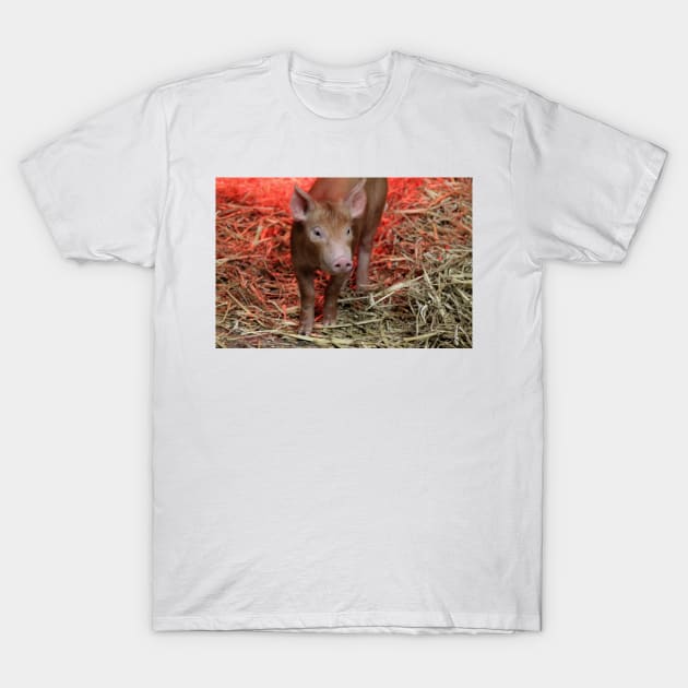 This Little Piggy T-Shirt by Ladymoose